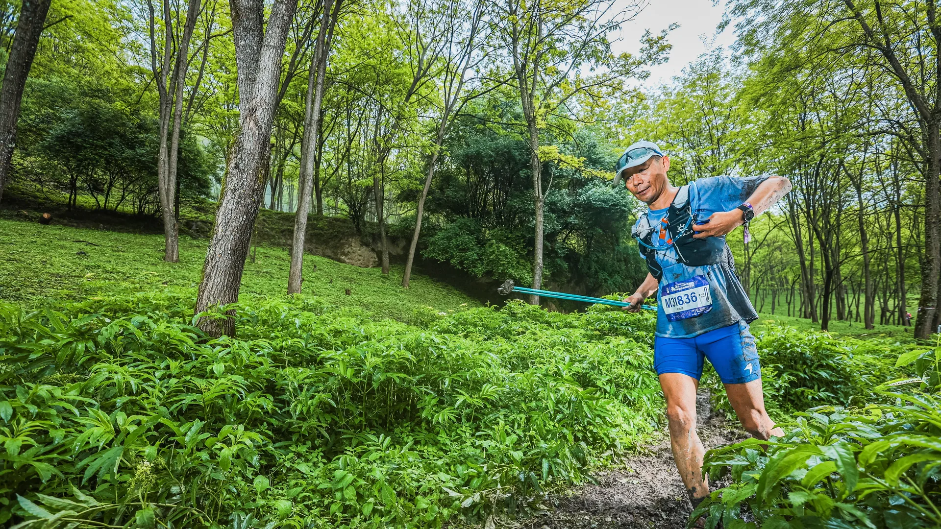Trail runner navigating a forest path through green undergrowth, illustrating the terrain, effort, and focus that road and trail running demands